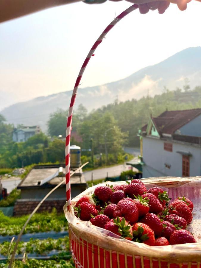 Moonlight Hotel Sapa Exteriér fotografie